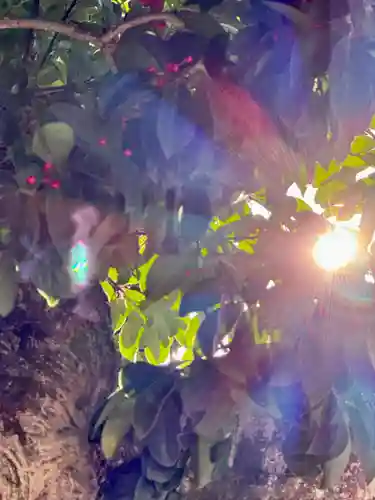 金札宮(京都府)