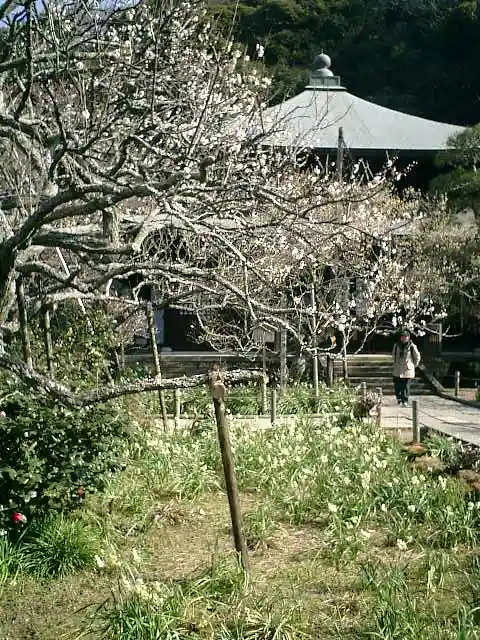 瑞泉寺のその他建物