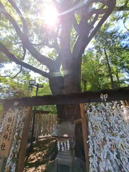 平塚八幡宮(神奈川県)