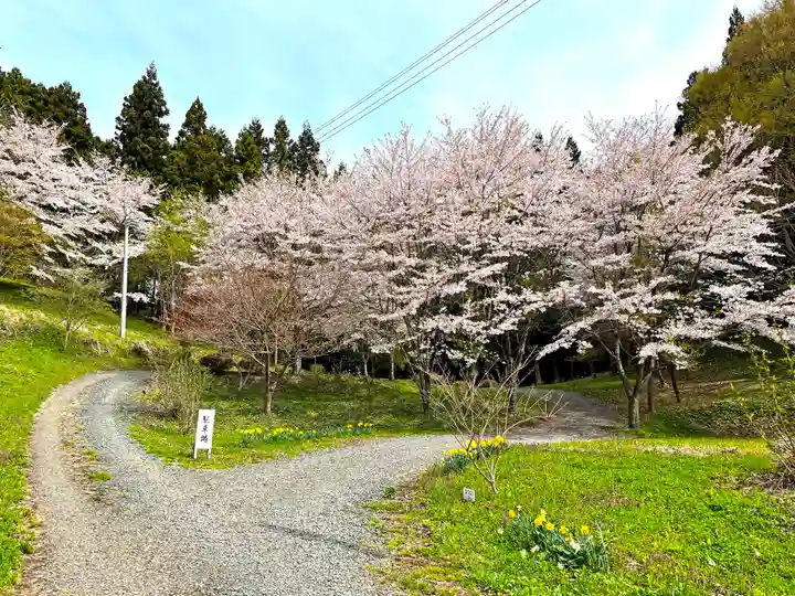 戸隠神社の自然