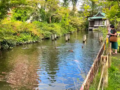 善知鳥神社(青森県)
