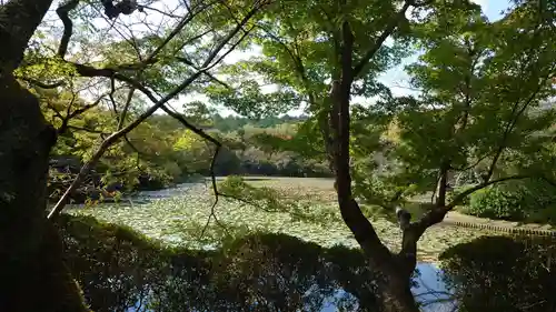 龍安寺(京都府)