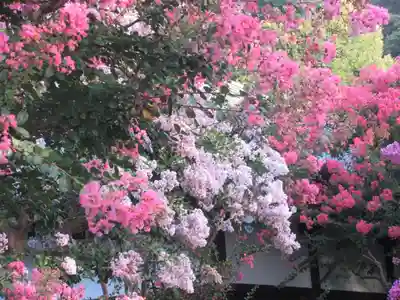 長谷寺の自然