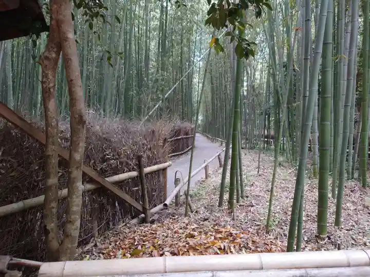 野宮神社(京都府)