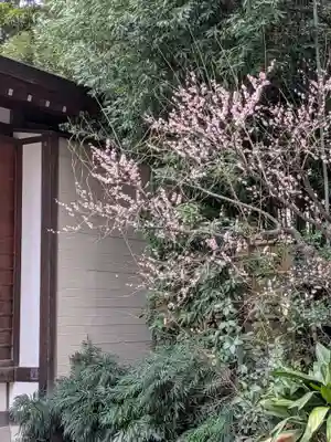 阿佐ヶ谷神明宮(東京都)