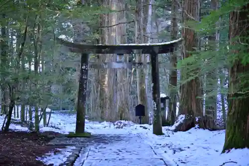 瀧尾神社（日光二荒山神社別宮）の鳥居