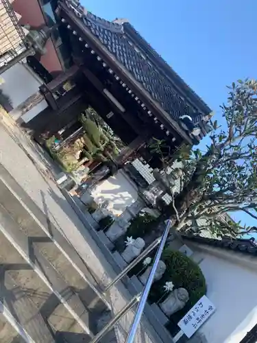 海善寺の山門・神門