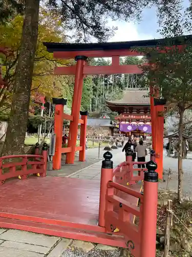 丹生都比売神社(和歌山県)