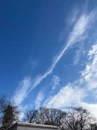 北海道神宮の景色