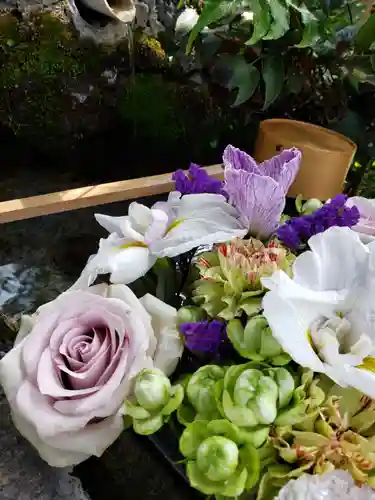 本郷氷川神社(東京都)