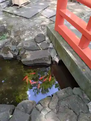 熊野神社(東京都)