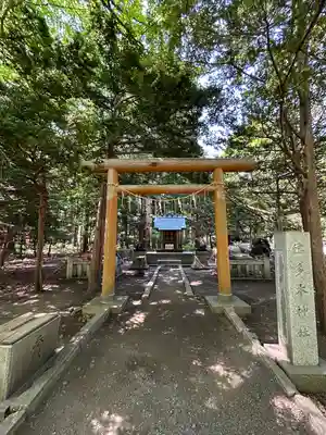 北海道神宮の鳥居