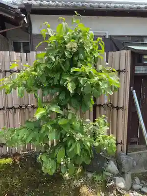 慈光院（曼陀羅寺塔頭）(愛知県)