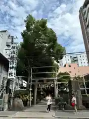 サムハラ神社(大阪府)