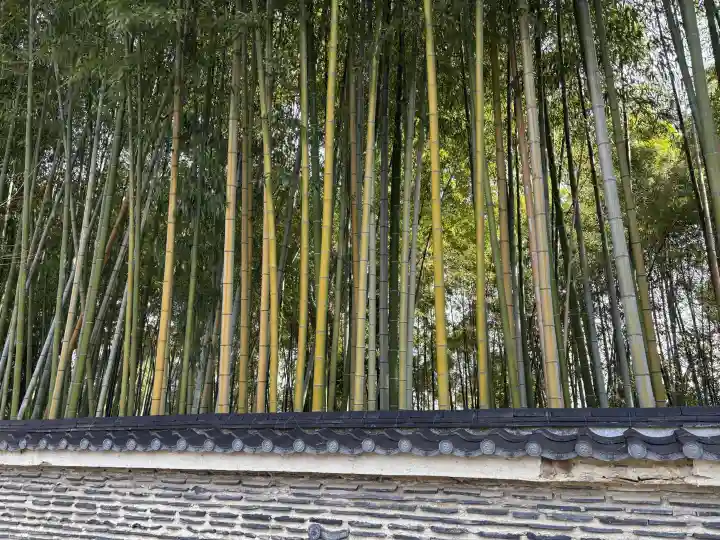 今宮神社の{uncategorized: "未分類", other: "その他", undefined: "問題あり", building: "その他建物", grave: "お墓", sacred_gate: "鳥居", guardian: "狛犬", statue: "像", buddha: "仏像", history: "歴史", nature: "自然", garden: "庭園", animal: "動物", pagoda: "塔", temizu: "手水舎", mountain_gate: "山門・神門", sanctuary: "本殿・本堂", subordinate: "末社・摂社", art: "芸術", scenery: "景色", jizo: "地蔵", ema: "絵馬", goshuin: "御朱印", omikuji: "おみくじ", items: "授与品その他", amulet: "お守り", goshuincho: "御朱印帳", eats: "食事", festival: "お祭り", votive_dance: "神楽", shichigosan: "七五三参", wedding: "結婚式", experience: "体験その他", initially: "初詣", around: "周辺", anti_infection: "感染症対策"}