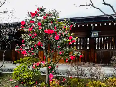 新潟縣護國神社(新潟県)