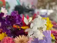 札幌諏訪神社の手水舎