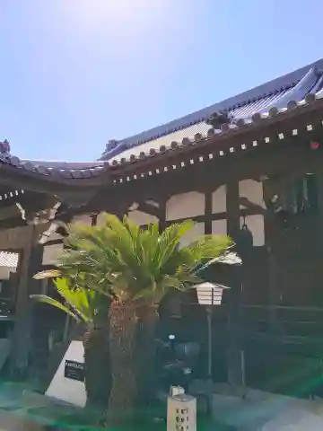 因念寺の{uncategorized: "未分類", other: "その他", undefined: "問題あり", building: "その他建物", grave: "お墓", sacred_gate: "鳥居", guardian: "狛犬", statue: "像", buddha: "仏像", history: "歴史", nature: "自然", garden: "庭園", animal: "動物", pagoda: "塔", temizu: "手水舎", mountain_gate: "山門・神門", sanctuary: "本殿・本堂", subordinate: "末社・摂社", art: "芸術", scenery: "景色", jizo: "地蔵", ema: "絵馬", goshuin: "御朱印", omikuji: "おみくじ", items: "授与品その他", amulet: "お守り", goshuincho: "御朱印帳", eats: "食事", festival: "お祭り", votive_dance: "神楽", shichigosan: "七五三参", wedding: "結婚式", experience: "体験その他", initially: "初詣", around: "周辺", anti_infection: "感染症対策"}