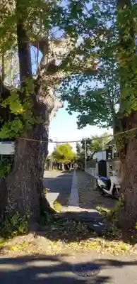 愛宕神社の自然