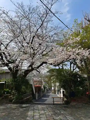 寶泉寺（宝泉寺）(東京都)