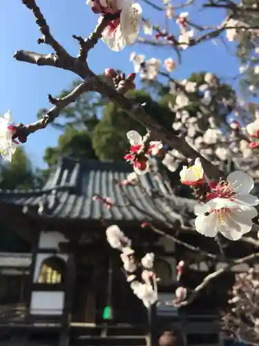 鏡忍寺の自然