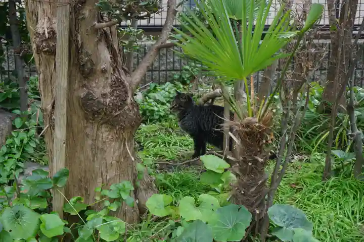 一宮神社の動物
