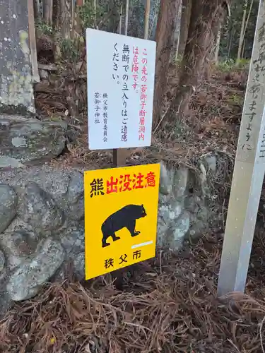 秩父若御子神社(埼玉県)