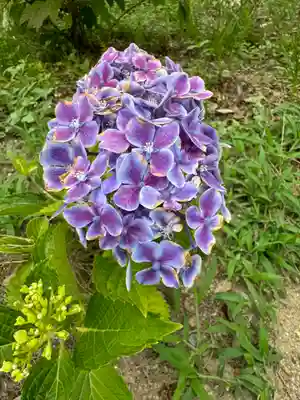 阿久津「田村神社」（郡山市阿久津町）旧社名：伊豆箱根三嶋三社(福島県)