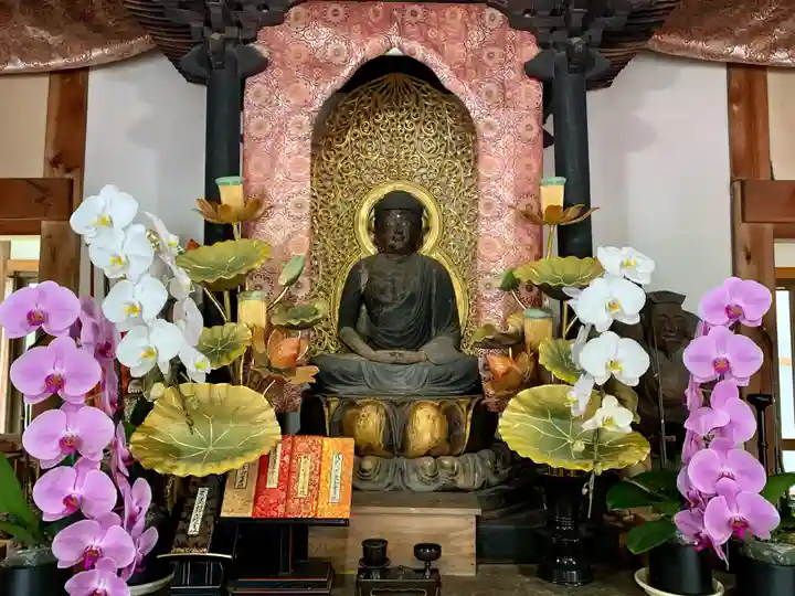 普門寺(切り絵御朱印発祥の寺)(愛知県)