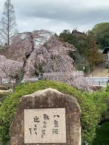 普賢院の庭園