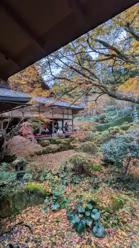 三千院門跡(京都府)