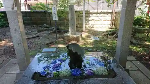 神炊館神社 ⁂奥州須賀川総鎮守⁂の手水