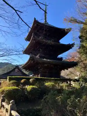 園城寺（三井寺）(滋賀県)
