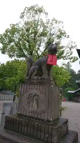 箭弓稲荷神社の狛犬