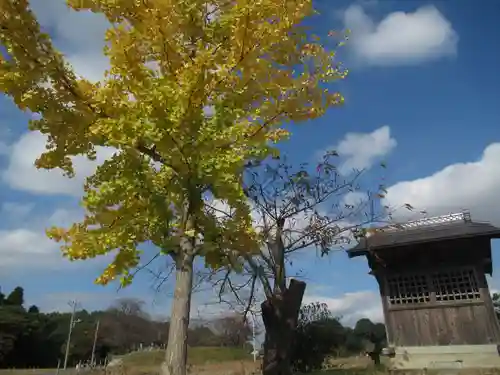 八幡神社(茨城県)