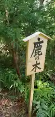 天津神明宮(千葉県)