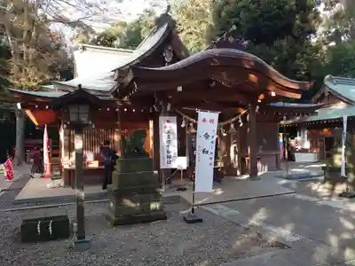 岩槻久伊豆神社の本殿・本堂