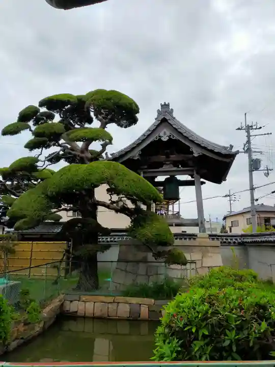 西法寺(大阪府)