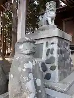 八幡宮の狛犬