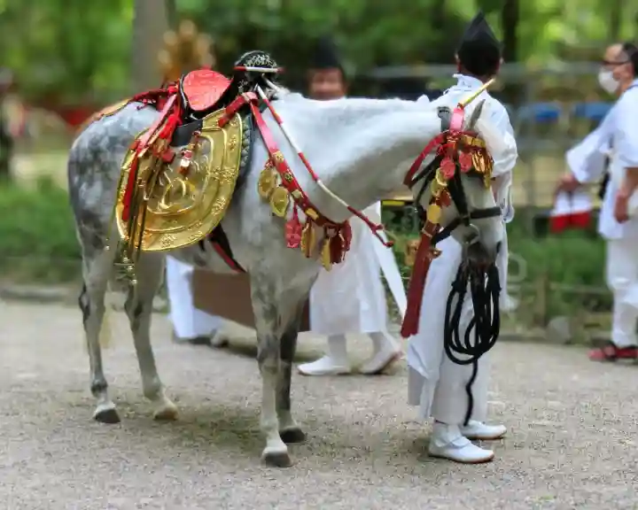 賀茂御祖神社(下鴨神社)の{uncategorized: "未分類", other: "その他", undefined: "問題あり", building: "その他建物", grave: "お墓", sacred_gate: "鳥居", guardian: "狛犬", statue: "像", buddha: "仏像", history: "歴史", nature: "自然", garden: "庭園", animal: "動物", pagoda: "塔", temizu: "手水舎", mountain_gate: "山門・神門", sanctuary: "本殿・本堂", subordinate: "末社・摂社", art: "芸術", scenery: "景色", jizo: "地蔵", ema: "絵馬", goshuin: "御朱印", omikuji: "おみくじ", items: "授与品その他", amulet: "お守り", goshuincho: "御朱印帳", eats: "食事", festival: "お祭り", votive_dance: "神楽", shichigosan: "七五三参", wedding: "結婚式", experience: "体験その他", initially: "初詣", around: "周辺", anti_infection: "感染症対策"}