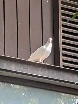 靖國神社(東京都)