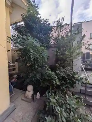 光照寺(東京都)