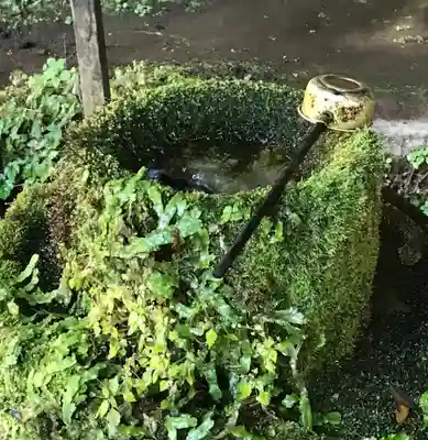 八女津媛神社の手水舎