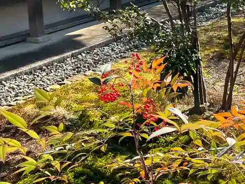 大覚寺(京都府)