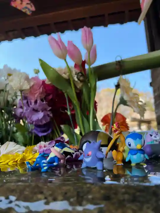 勝林寺(京都府)