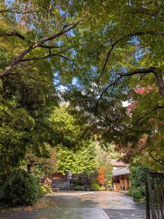 高円寺(東京都)
