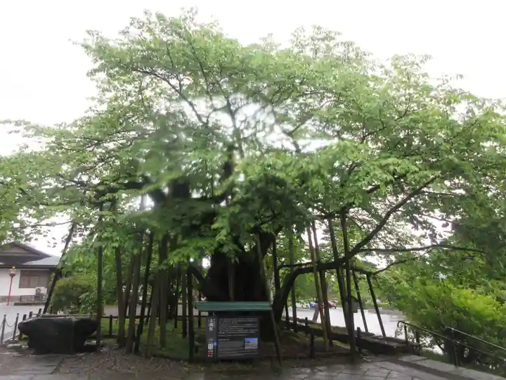 輪王寺(栃木県)