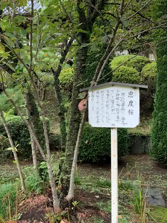 雙林寺(群馬県)
