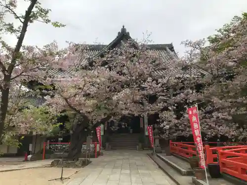 金剛宝寺（紀三井寺）の本殿・本堂