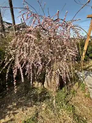 海岸寺の{uncategorized: "未分類", other: "その他", undefined: "問題あり", building: "その他建物", grave: "お墓", sacred_gate: "鳥居", guardian: "狛犬", statue: "像", buddha: "仏像", history: "歴史", nature: "自然", garden: "庭園", animal: "動物", pagoda: "塔", temizu: "手水舎", mountain_gate: "山門・神門", sanctuary: "本殿・本堂", subordinate: "末社・摂社", art: "芸術", scenery: "景色", jizo: "地蔵", ema: "絵馬", goshuin: "御朱印", omikuji: "おみくじ", items: "授与品その他", amulet: "お守り", goshuincho: "御朱印帳", eats: "食事", festival: "お祭り", votive_dance: "神楽", shichigosan: "七五三参", wedding: "結婚式", experience: "体験その他", initially: "初詣", around: "周辺", anti_infection: "感染症対策"}